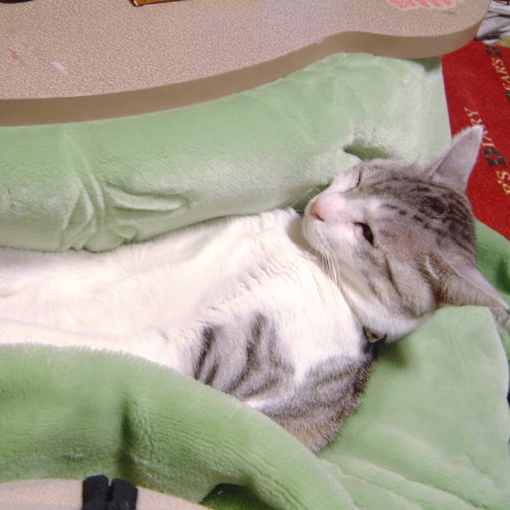 8e2f97d2 2564 482d b3d5 4f6c0ae84631