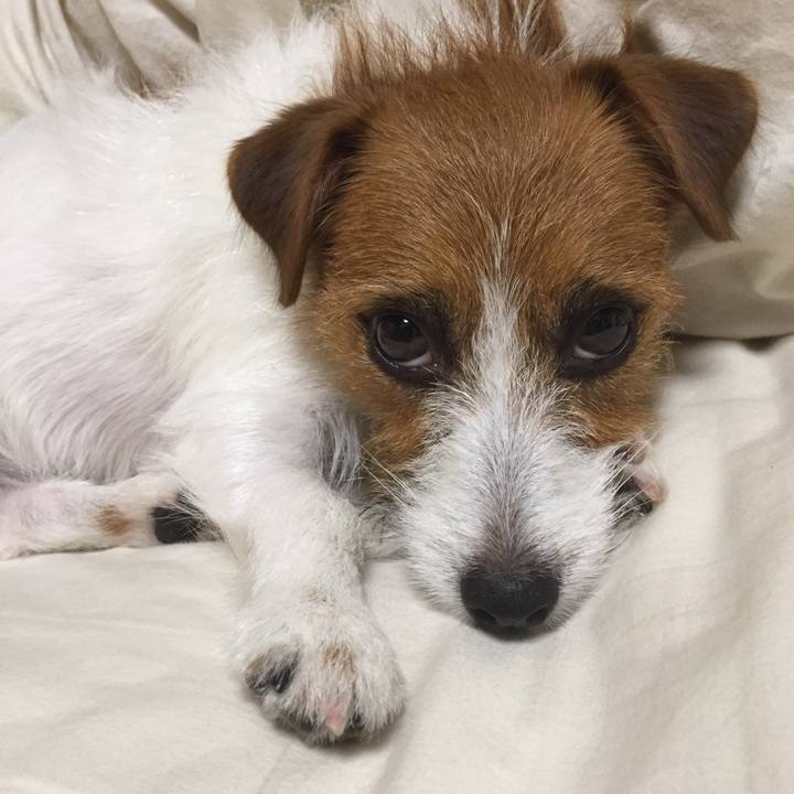 8e2fc349 cf6c 4a39 966f 39ad6f4d761a