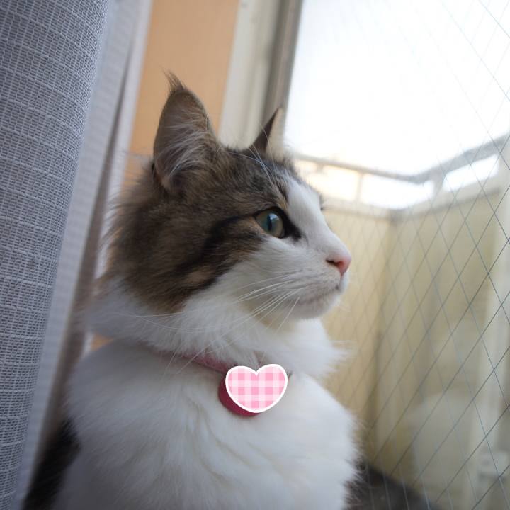 8e30377e 500b 470a b813 47c09fd9b5ef