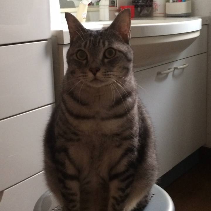 8e313f84 85f0 44ac 809e e808d2fdf599