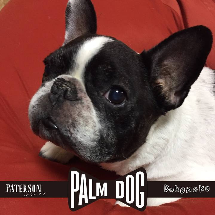 8e3316d2 c49e 49c3 b33c 0da384f5cd7d