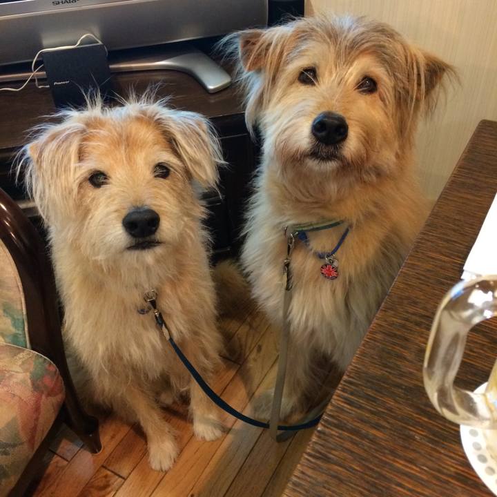 8e335175 5674 4429 951c e4a7aef23f5f