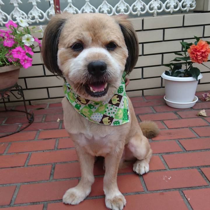 8e3383df e06b 4146 96b8 0557f1e41224