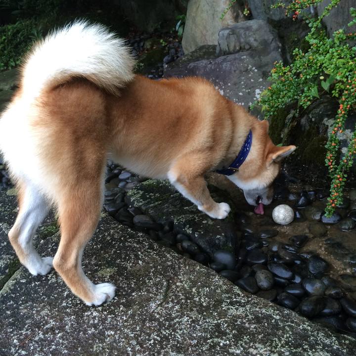 8e338438 6ca9 4d63 b982 2a5038187d43