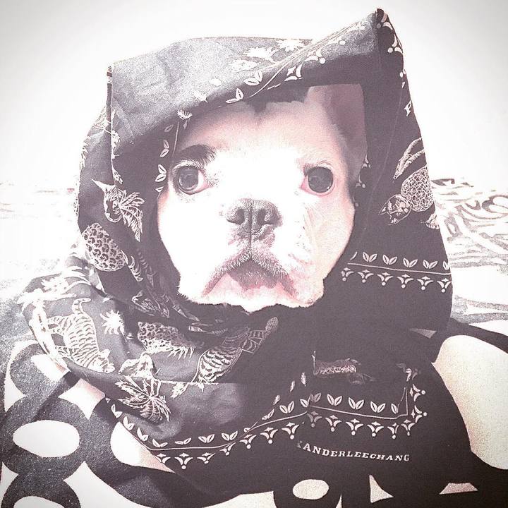 8e34086d 8ac0 41a9 8496 daa400691633