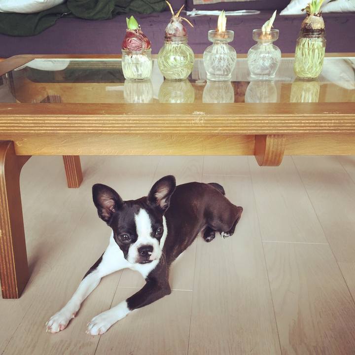 8e344374 53ca 4466 bdcb ef0756b5896d