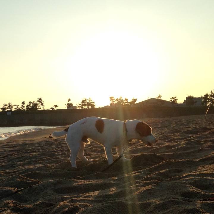 8e3447bd 6f22 479e 9f90 ddd30b595a1e