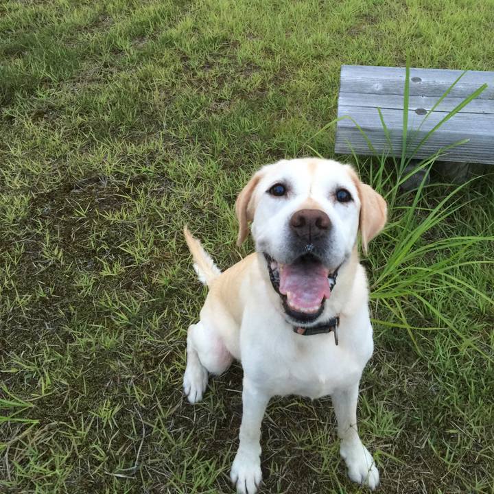 8e3476b6 a5d2 49f3 8766 36fde9efb499