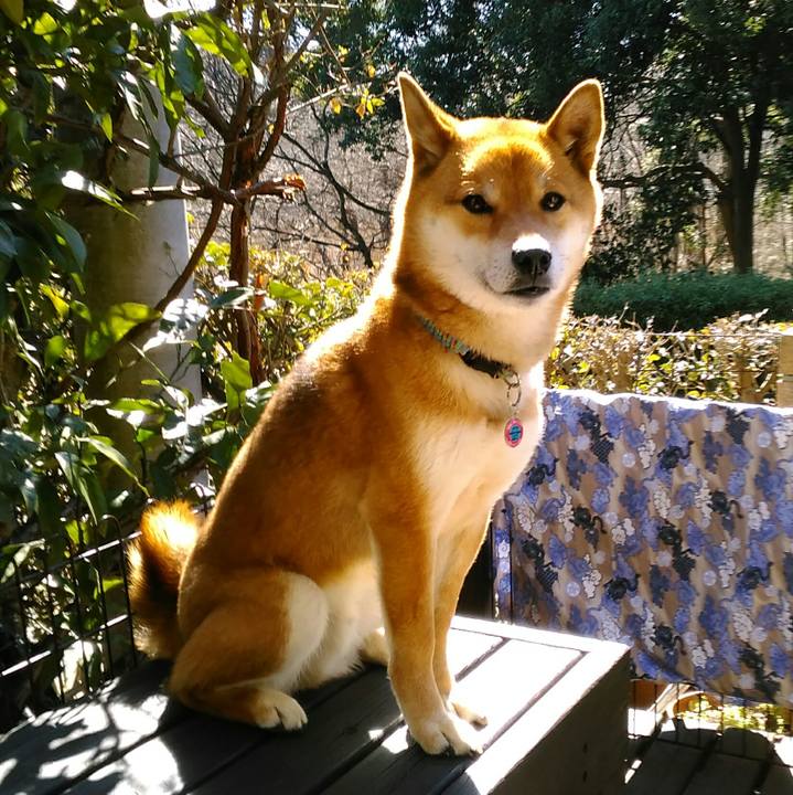 8e34f8f6 5499 444f aba0 e643f8f8b943