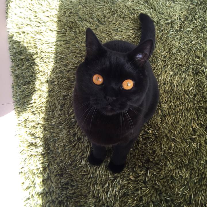 8e35a0d7 c2a8 4e0c 99eb c220241cfbe6