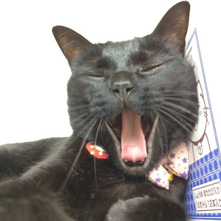 8e35cf03 078f 46d3 a22b 4bbedfed4f0c