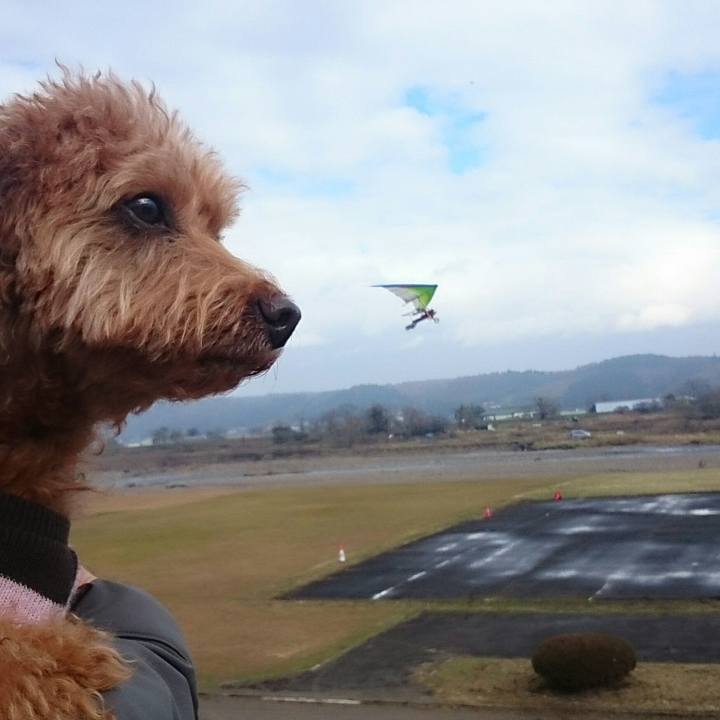 8e367d10 b3f3 4378 98ca c03a460737d2