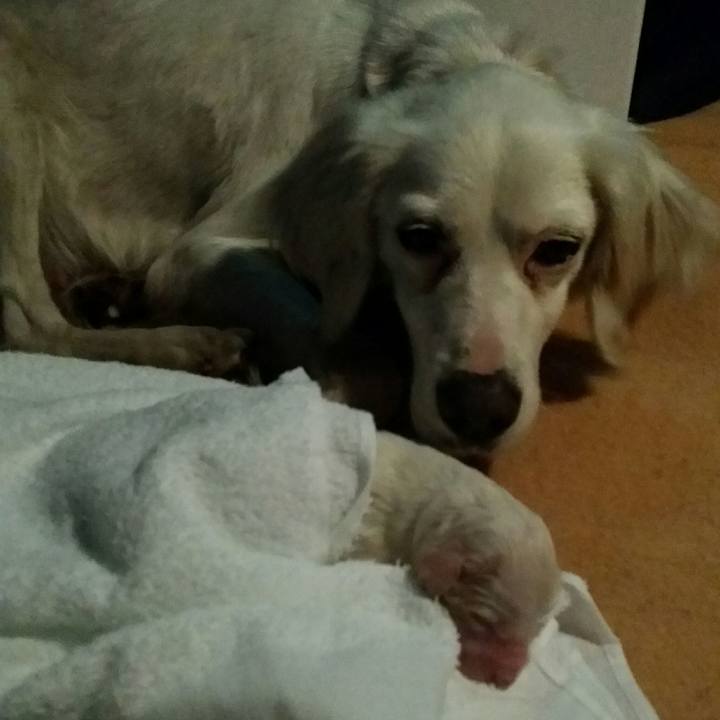 8e36d9dc 3d45 4150 bf0c cddbf9d220dc