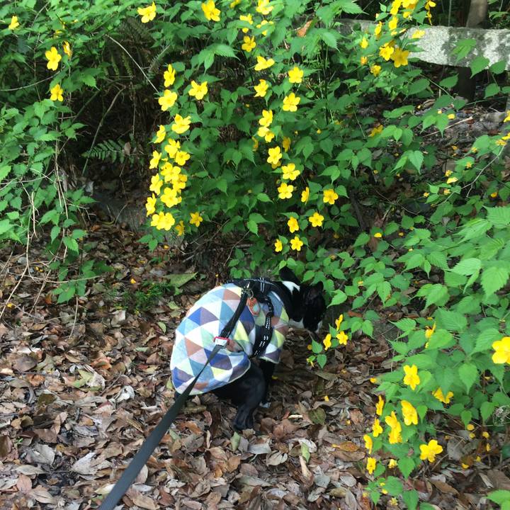 8e378424 033e 4e63 a821 c1da75e14765