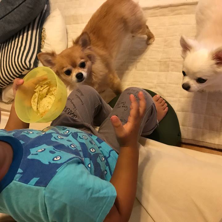 8e37e3d9 fcac 4b12 9983 e10b0f14627f