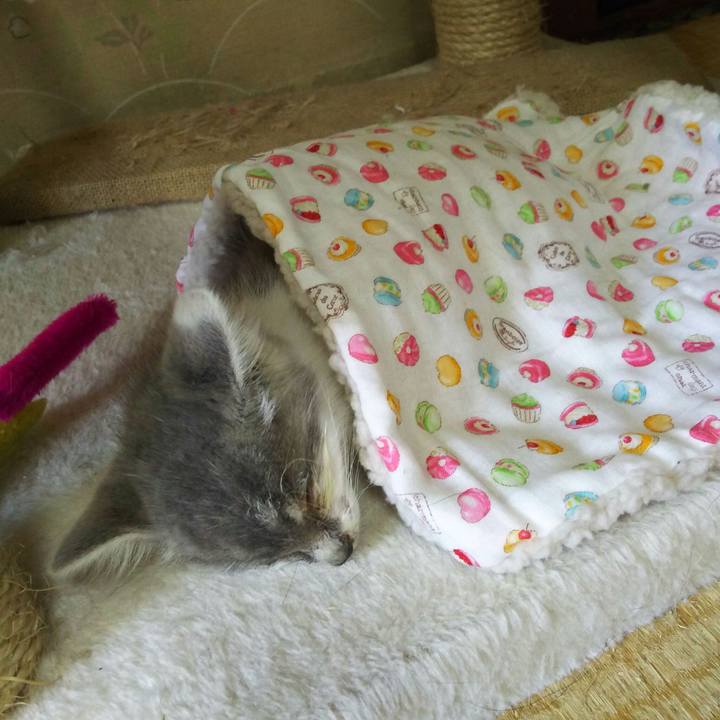 8e3847ad 515d 4af8 8f33 662182376d61