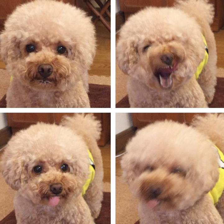 8e3847af b972 4948 bacb fce0fdc9b000