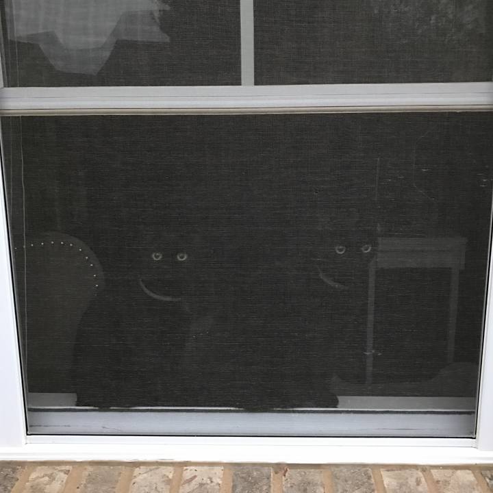 8e385570 7fc0 417a a277 87fee948aedd