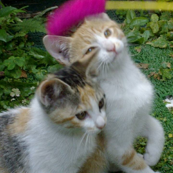 8e388430 70f2 4420 b731 25df4571d970