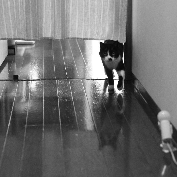 8e3997ec b88e 4e76 931f a95d156f5e6a