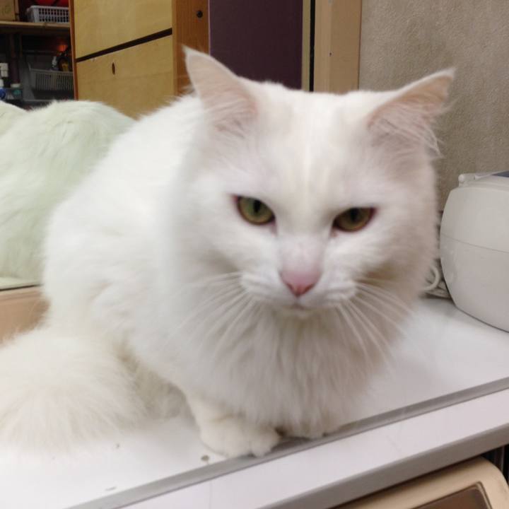 8e39c81d 4145 4b34 99e2 37d1a0b395b8