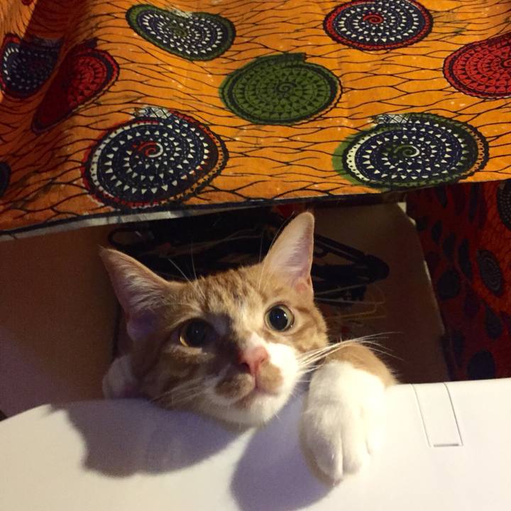 8e3abb10 7544 416e 9ce9 e3cad19afae6