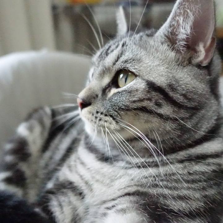 8e3aedb6 f727 47bd 8ecb 5e20862bfdab