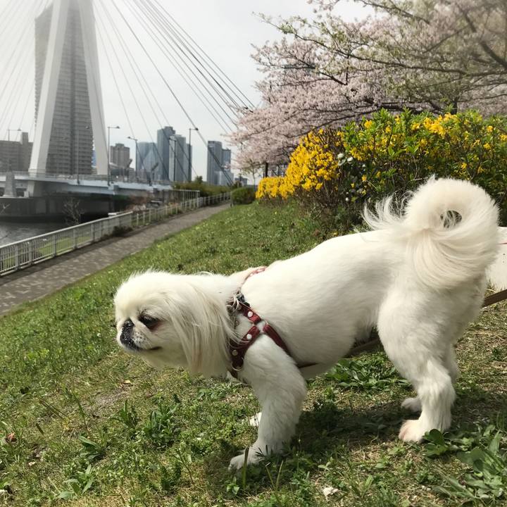 8e3aeed2 1ff6 44c8 824c 0266cd08c782