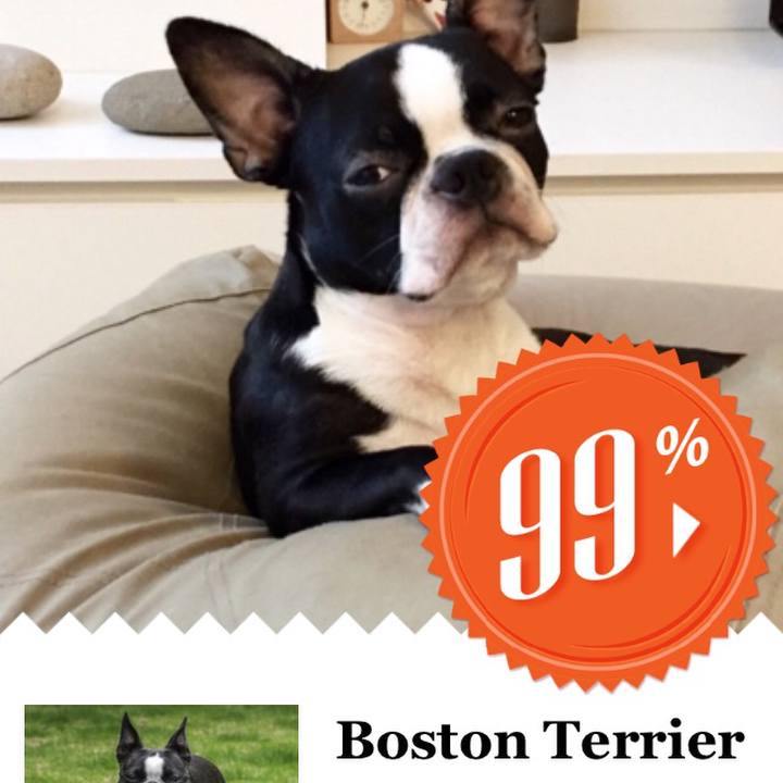 8e3b8646 f4e0 49db b9e8 a83288f4209f