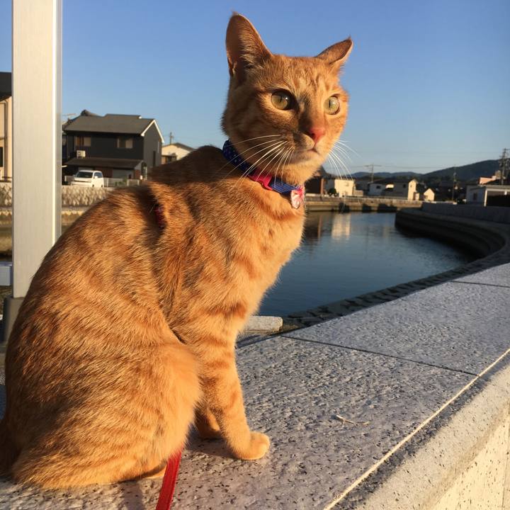 8e3c35b6 55b2 4946 b20d 51d1fb514a1f