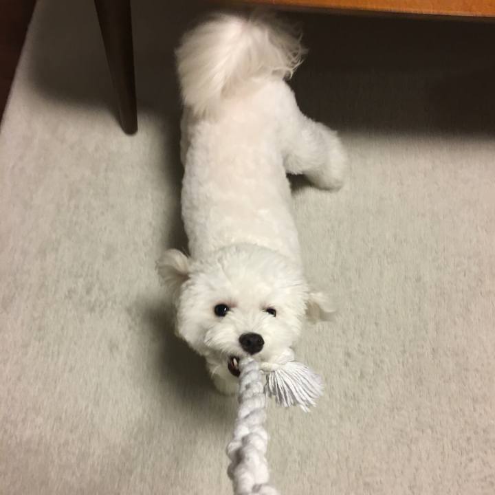 8e3cae7d 7912 4341 829a 33c75b19579f