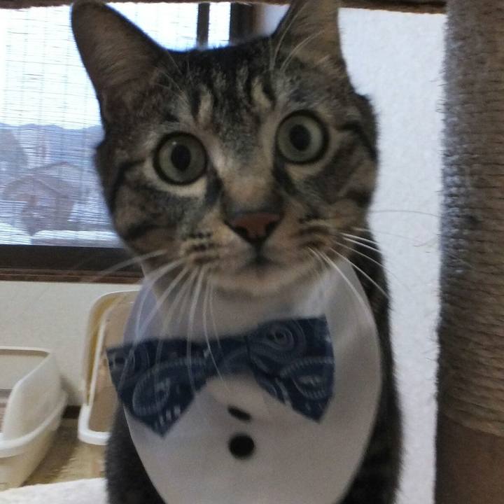 8e3d8978 c0f6 4be9 bb6f 1085fad34bcf