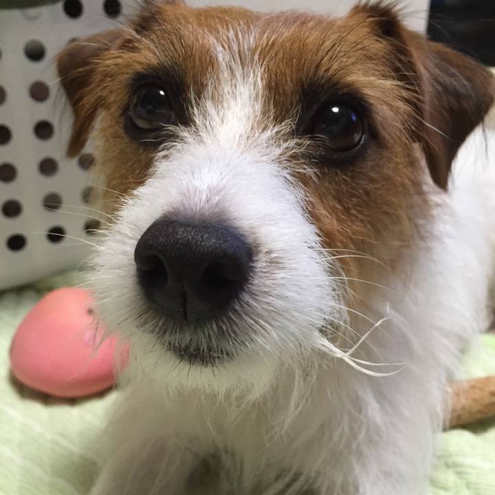 8e3d96c3 19a2 4c78 9d69 93deb57a55a7