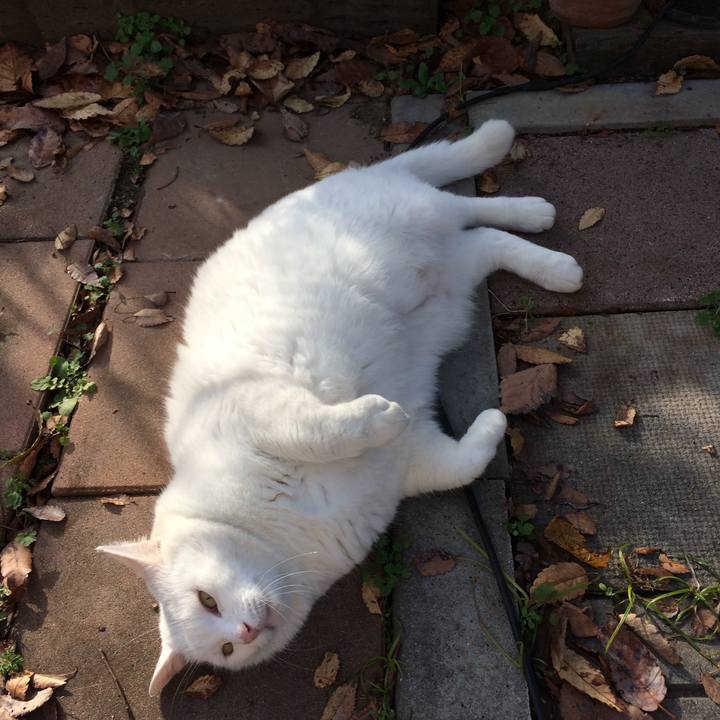 8e3deef2 a4de 4929 b8ce 0acb2d8b3c11