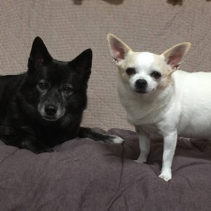 8e3e5b6b 6849 4674 b1db 6b212c2ac05a