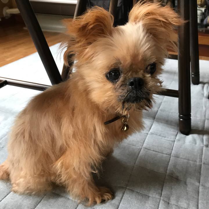 8e3f08c3 56f0 422d a984 d5ed7d512dd1