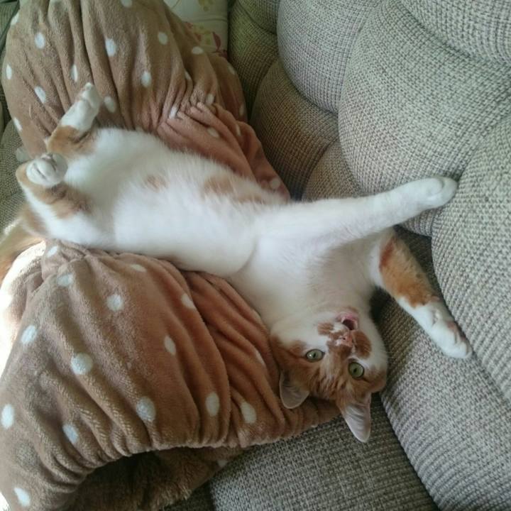 8e3f2c0c 5e72 44af 8ebb 4603d00e8e84