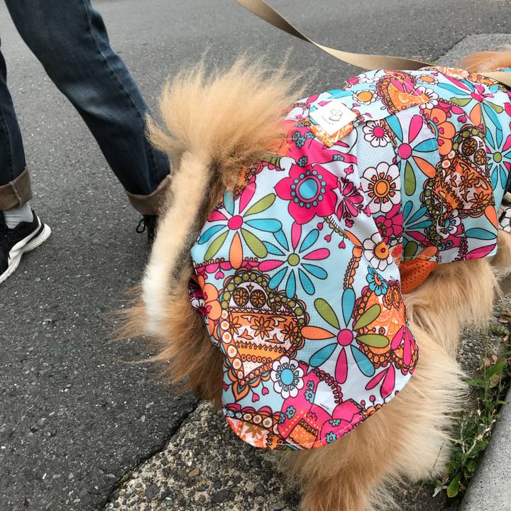 8e3f3da5 6360 4c22 9eaf 86ad7a666e12