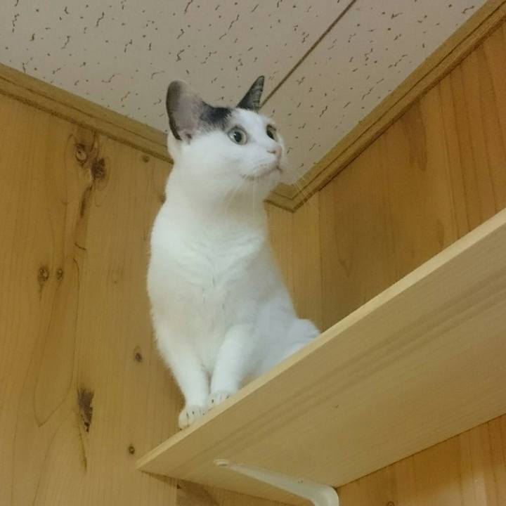 8e3f7b22 790e 4ee2 8fe3 961b998b141e