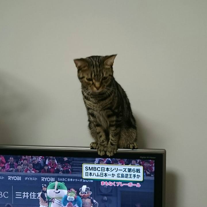 8e3f8302 af3d 4b81 ae35 5a3f3e905398