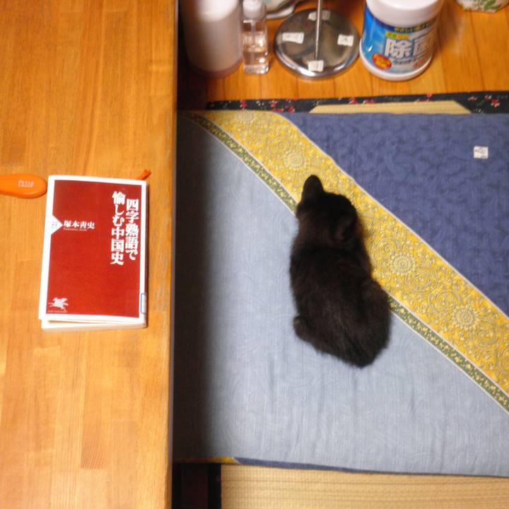 8e40058d 7305 4d73 8278 54a242652c0a