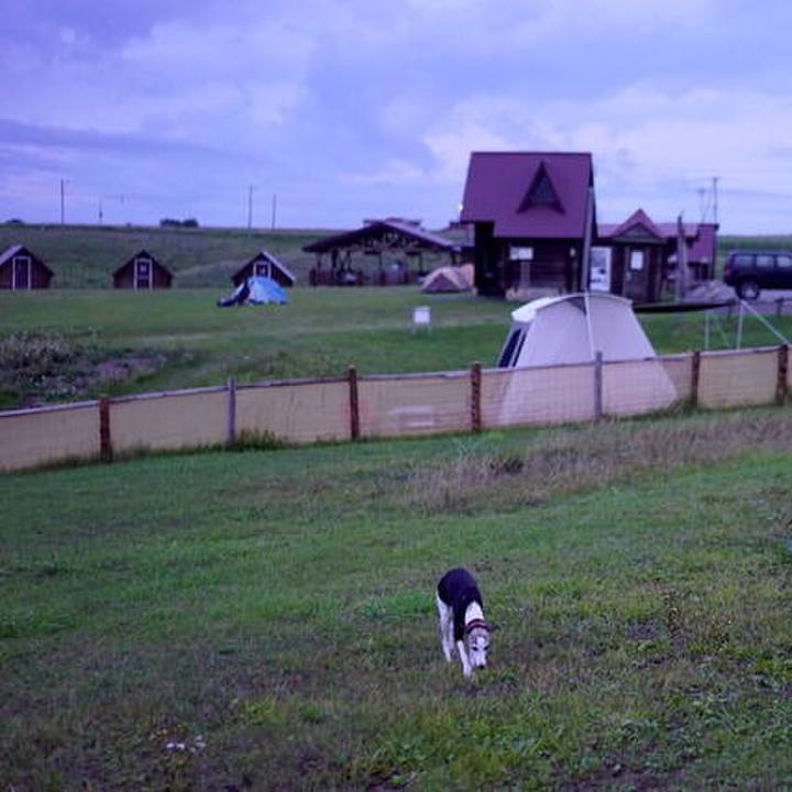 8e40a5a9 3ae8 4f56 b217 faa5ae39ad34