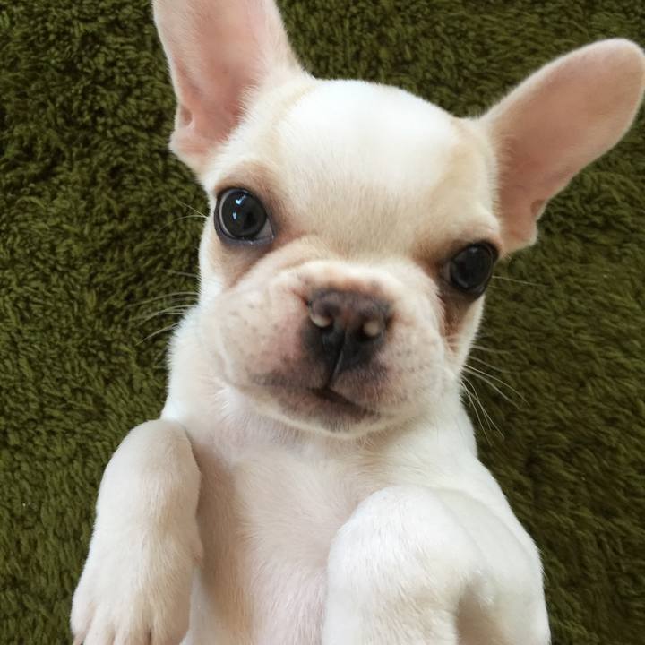 8e4144a5 517b 482d b34e 2239ba6de91a