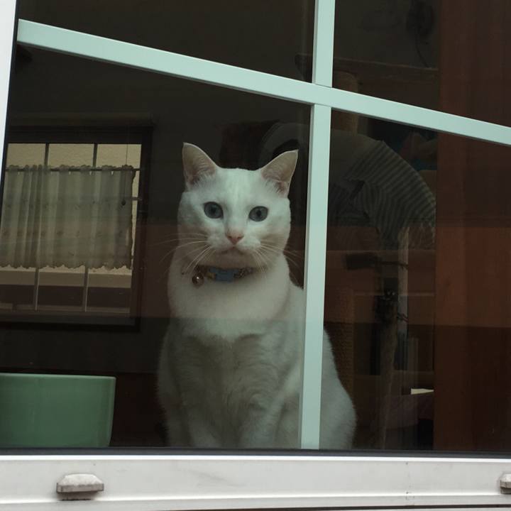 8e4162fa 22f9 452e a4ee d6332fe2f11b