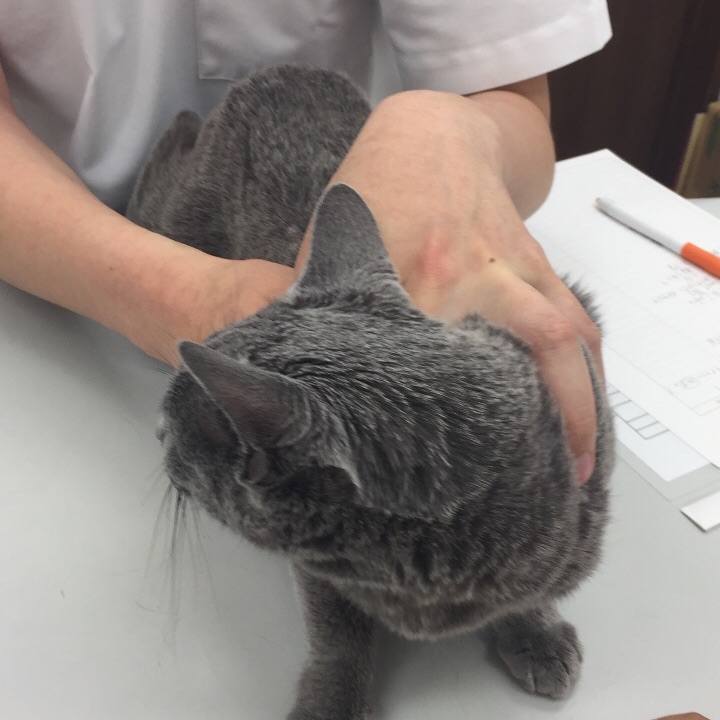 8e41a1df 1ddf 476e af8f 36c6347da1b7