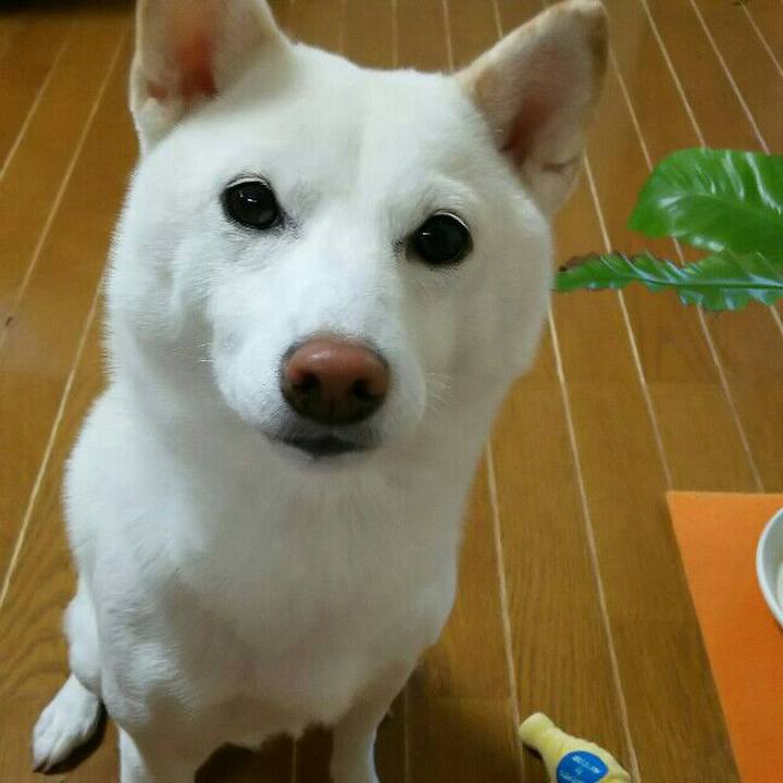 8e41f5d8 0914 470d b9d4 3d70be273ceb