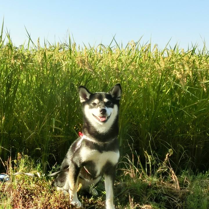 8e4209b5 9538 4faa 98b3 38c805daeb11