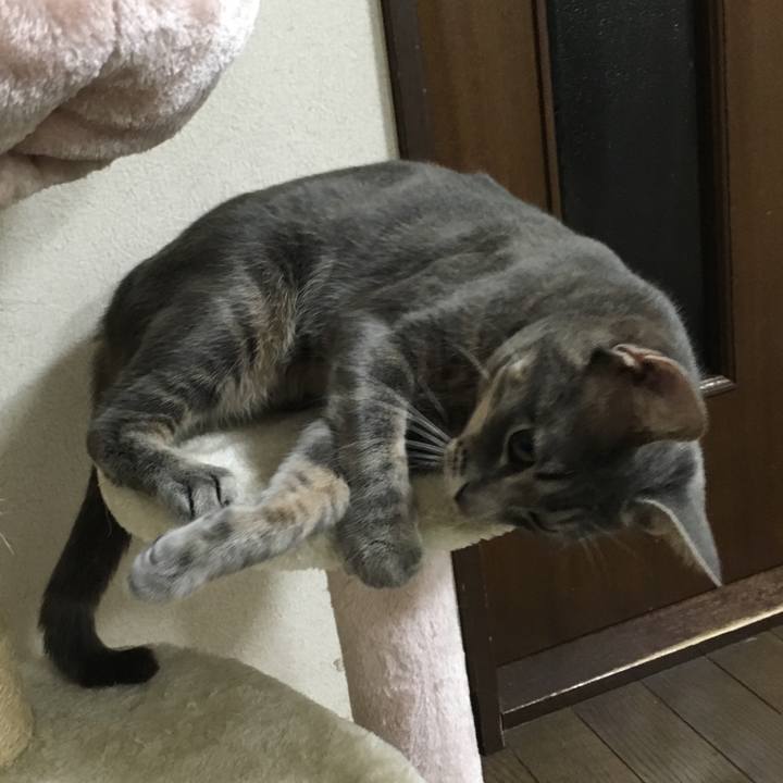 8e424f5d 8b39 4ad3 9a00 29e343dfac31