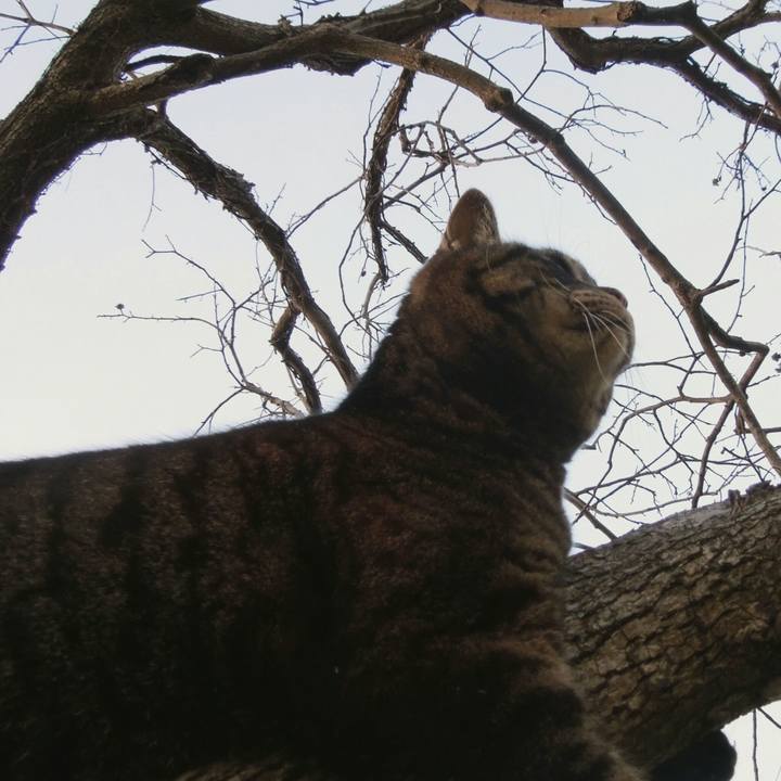 8e427025 f02d 4533 bf2f 2904a461af9b