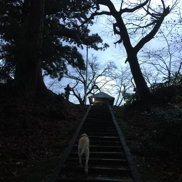 8e43f8b5 c829 4316 8aa1 b3ff37213c12